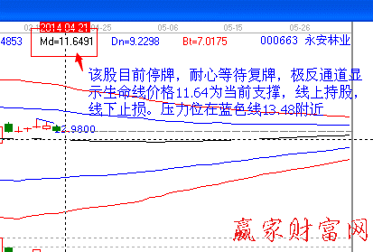 000663 永安林业股票分析