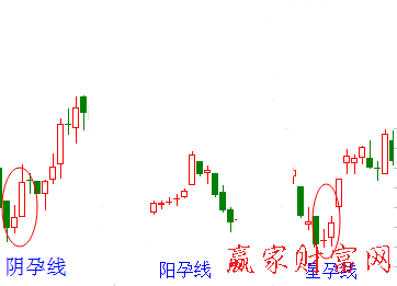 ①前一条k线是一条长大的阳线,第二条k线是一条短小的阴线,称为阳孕