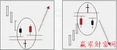 舍子星K线组合