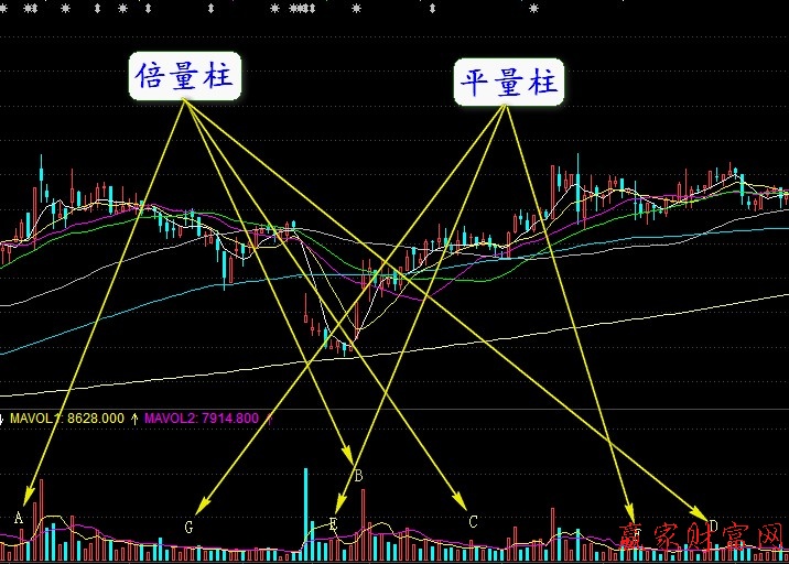 见上图:左侧箭头指的是"倍量柱",右侧是"平量柱".