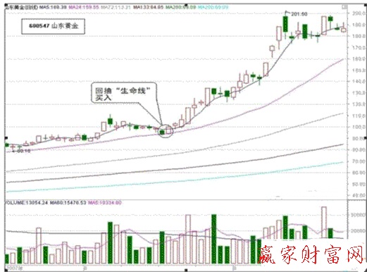 翻倍黑马