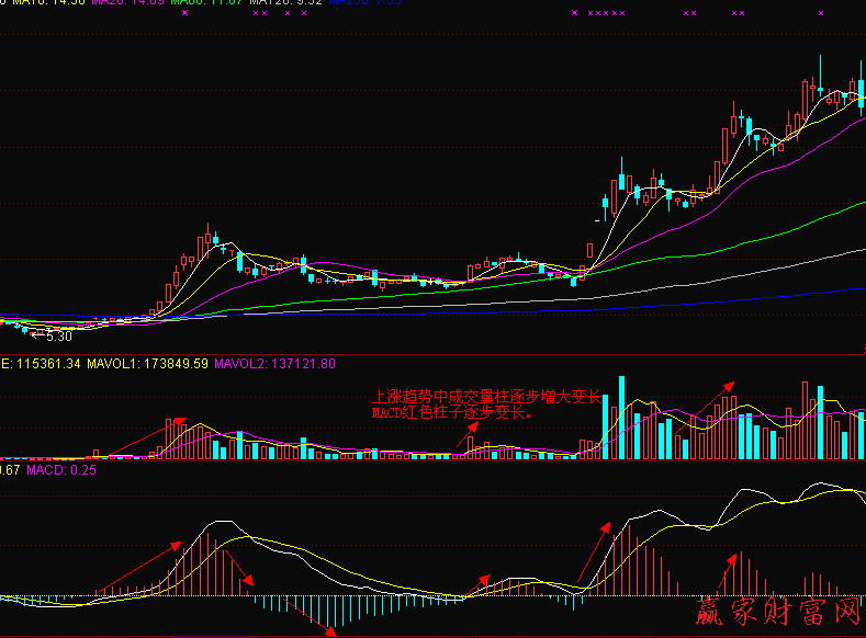 MACD能量柱和成交量的量能柱对比操作