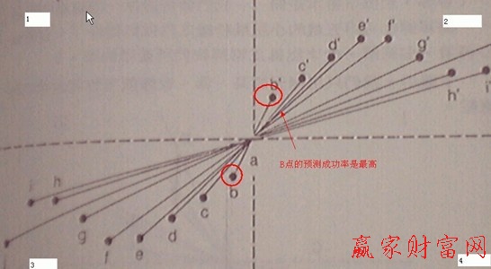 亚当理论图片