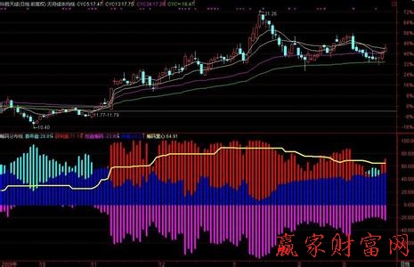 筹码分布图片