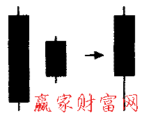 家鸽形态的简化