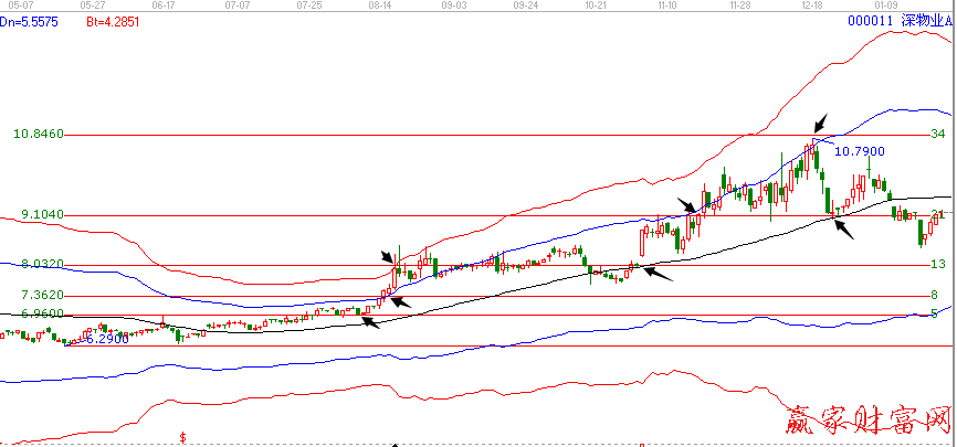 斐波那契额循环线图