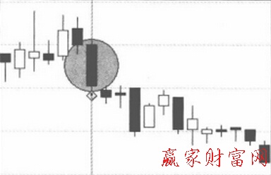 图3双飞乌鸦