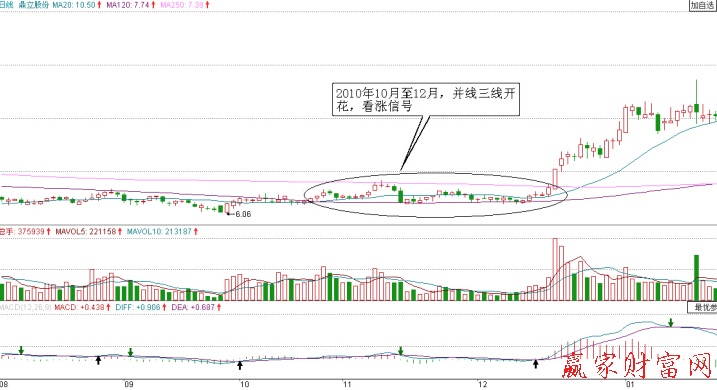 鼎立股份日K线图