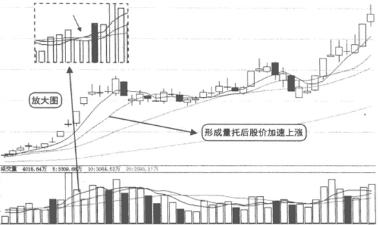 量托和价托