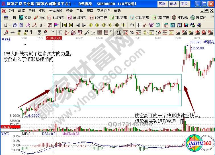 啤酒花矩形整理形态