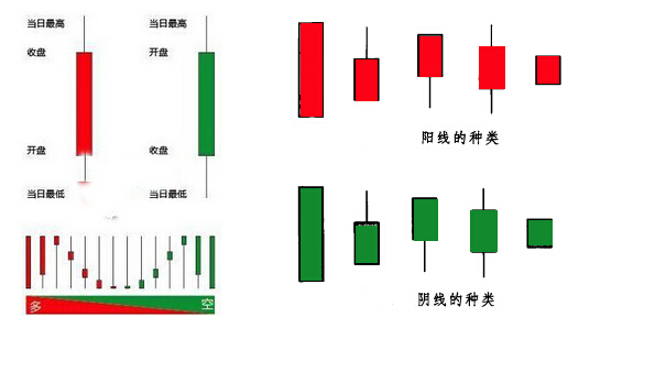 阴线和阳线图解