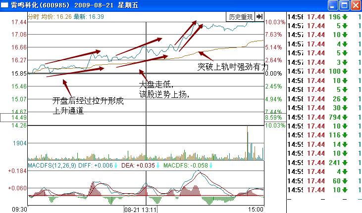 雷鸣科化600985