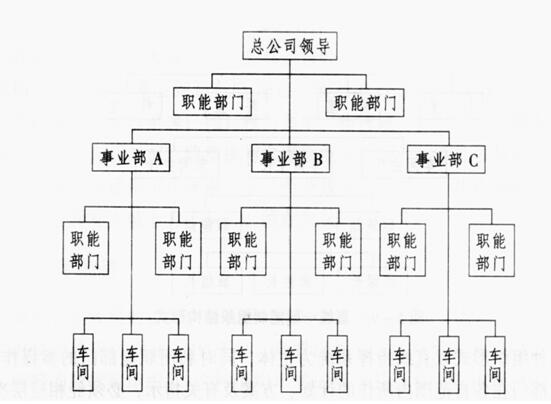 公司管理层结构