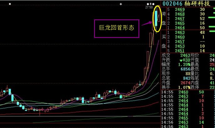 巨龙回首形态 的运用解析