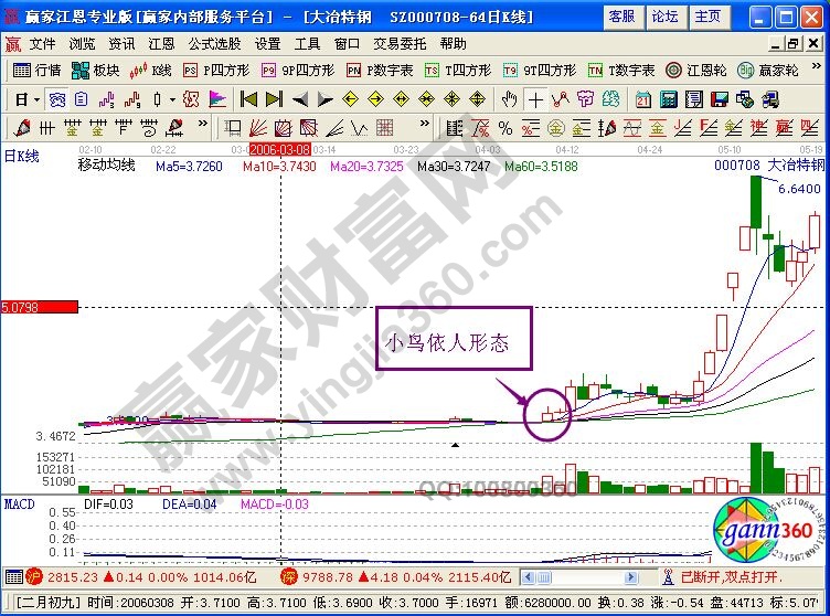 67运用小鸟依人形态投资的实战案例鉴赏