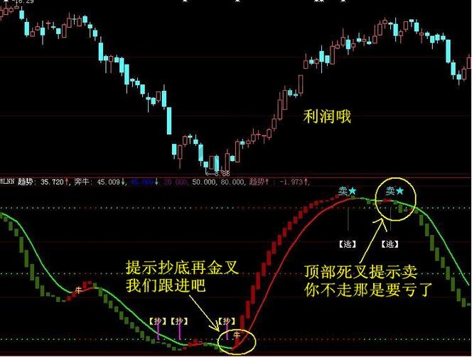 抄底逃顶波段操作