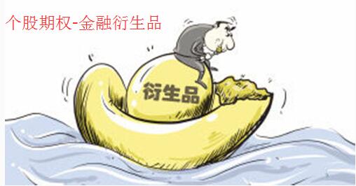 个股期权2.jpg
