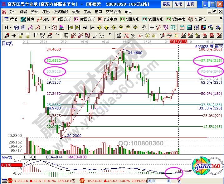 赛福天翻倍黑马