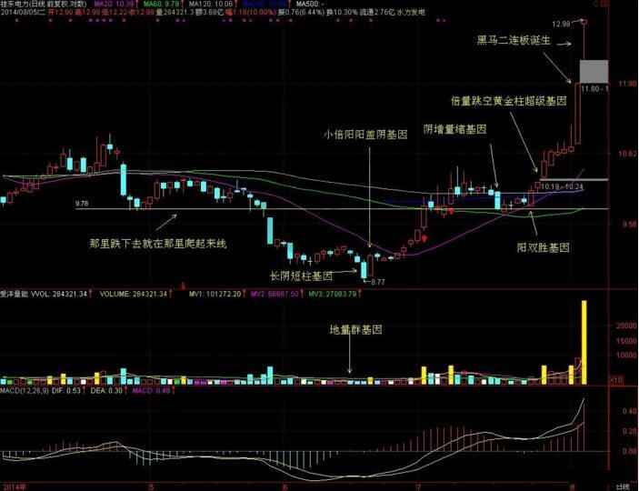 桂东电力翻倍黑马