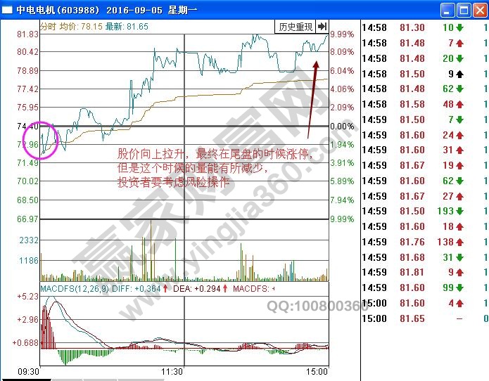 中电电机分时图