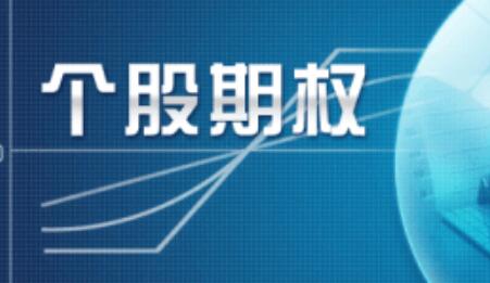 投资者要把握住裸买期权策略