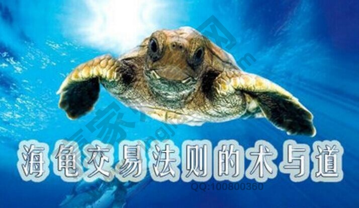 炒股解套方法——海龟交易法则风险控制