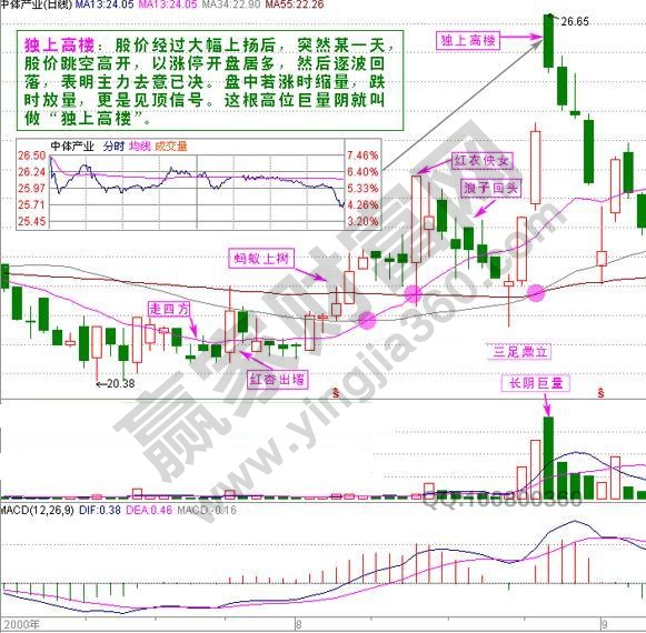 中体产业独上高楼