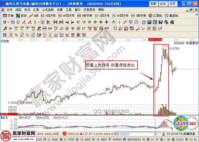 林海股份走势图