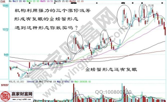 金螃蟹形态