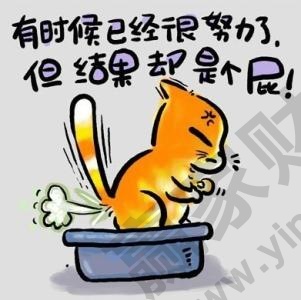 有时候已经很努力了但结果是个屁