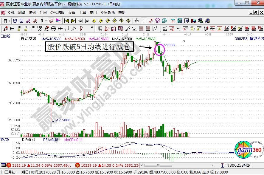 精锻科技走势图