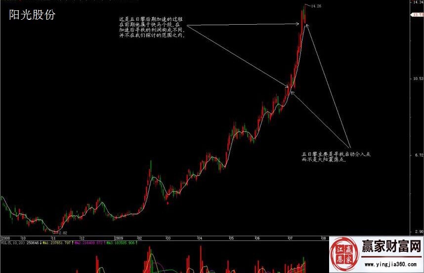 阳光股份.jpg