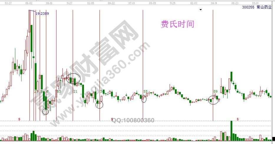 费氏时间.jpg