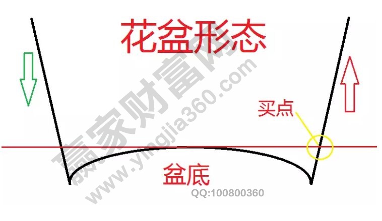花盆形态.jpg