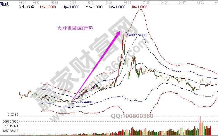 创业板上市公司