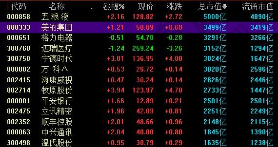 深圳市场a股市值较大的公司