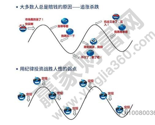 规避投资风险