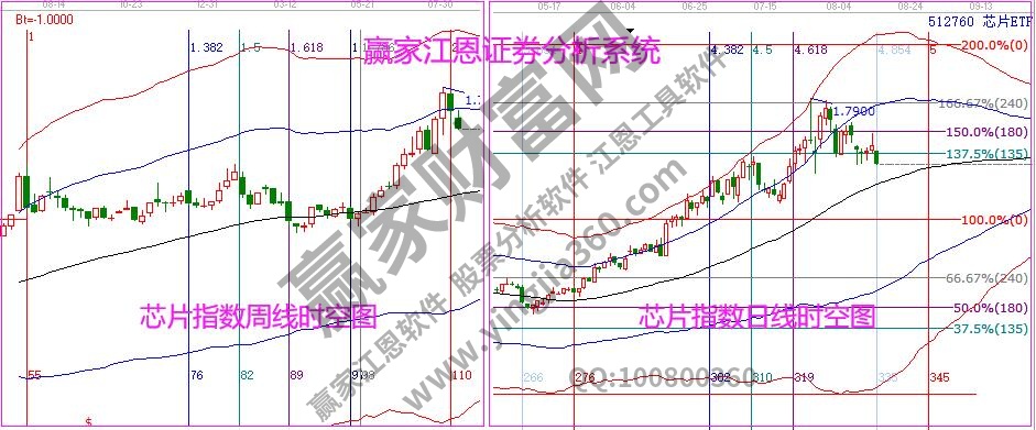 芯片指数时空分析