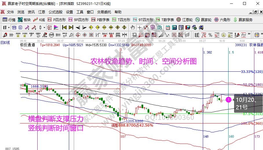 农林牧渔分析 