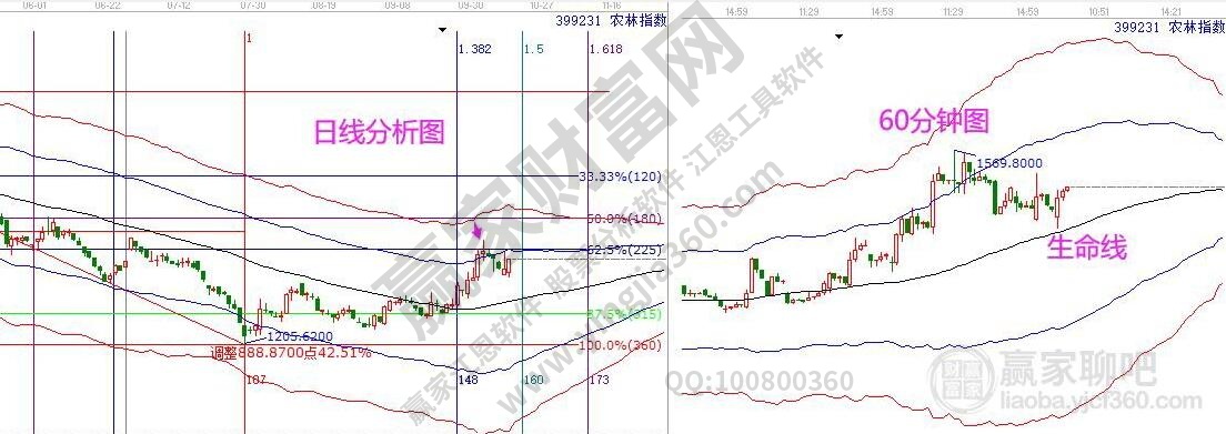 农林牧渔分析