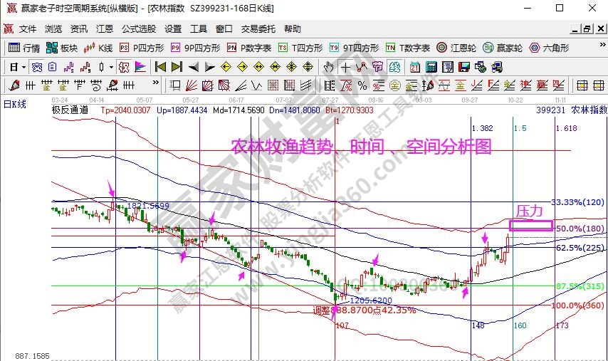 农林牧渔分析