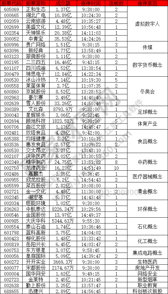 虚拟数字人