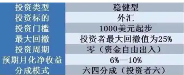 外汇投资