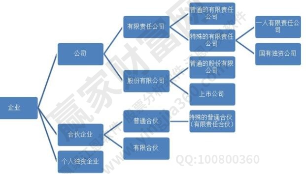 企业类型