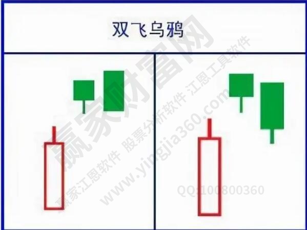 双飞乌鸦