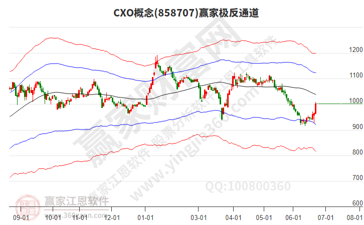 CXO